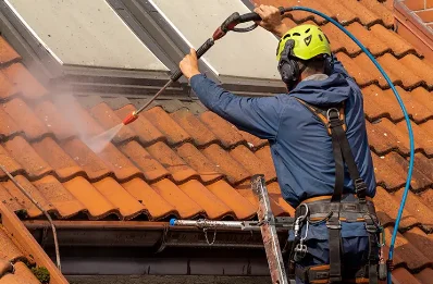 Démoussage et hydrofuge de toiture à la Prétière